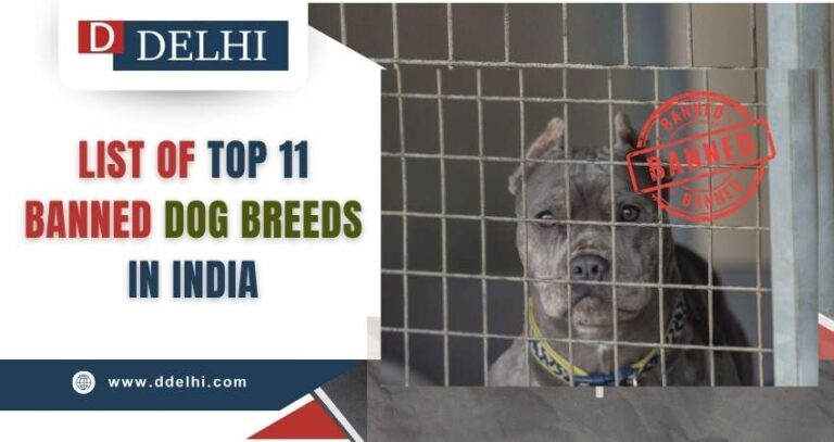 Banned Dog Breeds in India