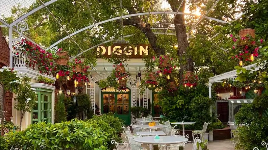 Diggin Cafe