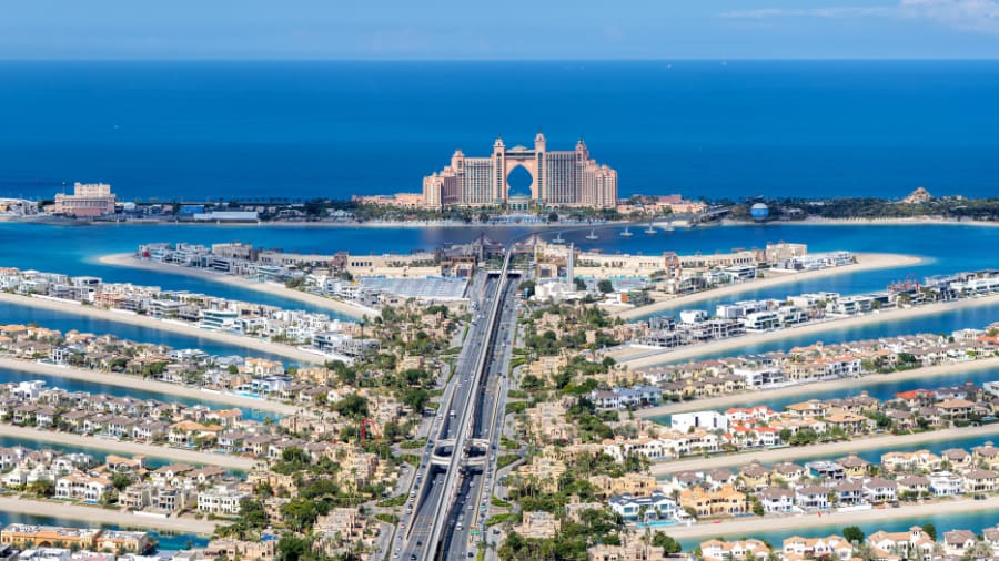 The View at The Palm