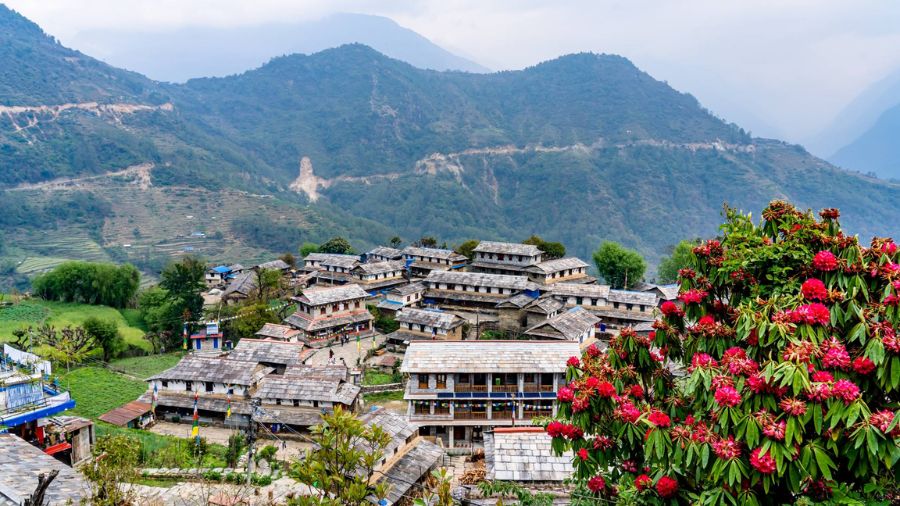Nepal