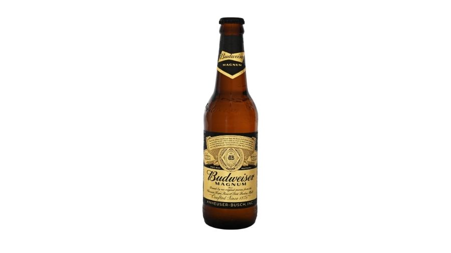 Budweiser Beer