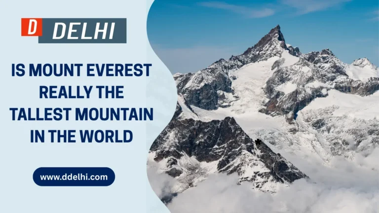 Is Mount Everest Really the Tallest Mountain in the World?