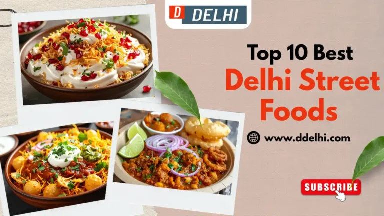 Top 10 Best Delhi Street Foods You Must Try