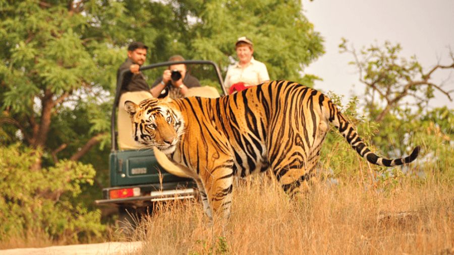 Jim Corbett National Park